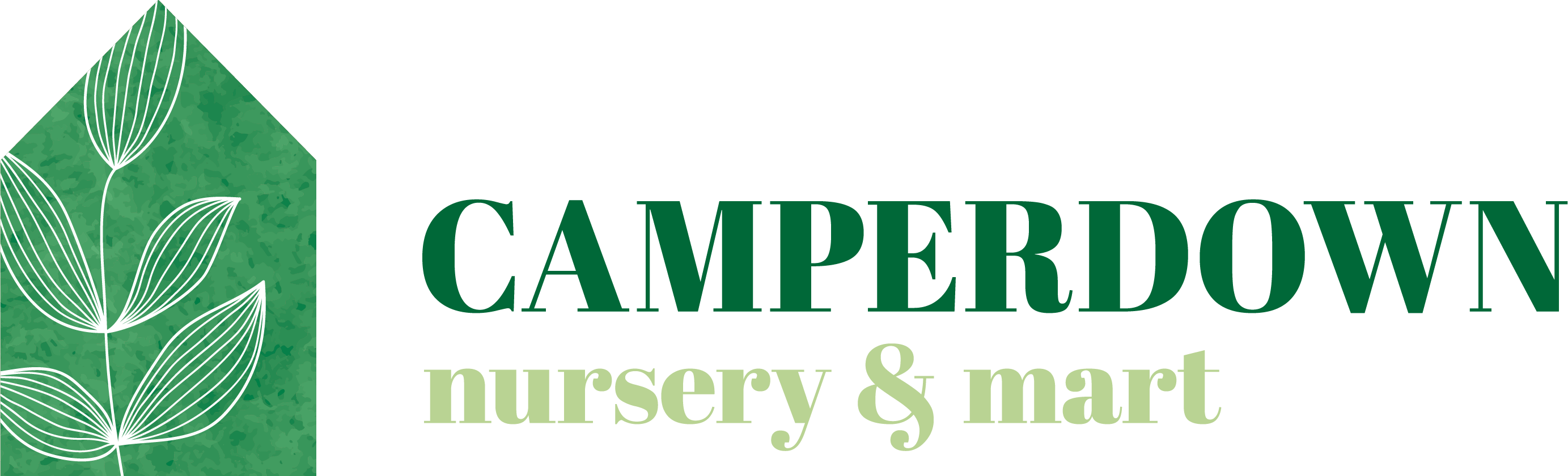 The Camperdown Nursery and Market